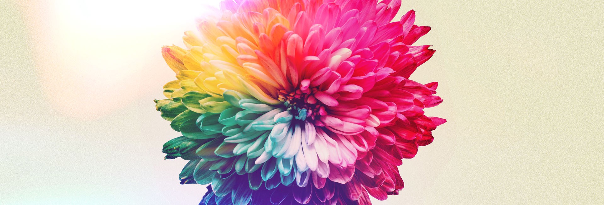 Women's Bible Study Church Website Banner